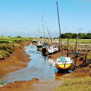 20180627-123708-2-largejpg