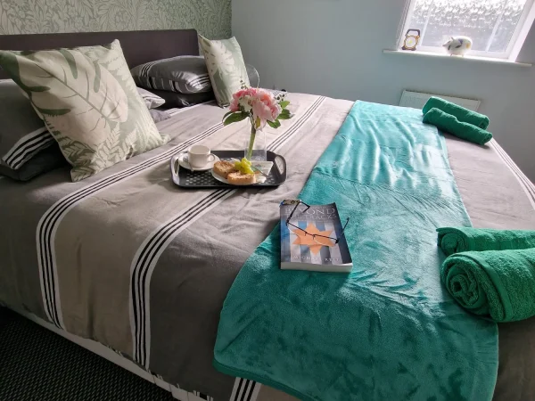 IMG-20240831-WA0097-1