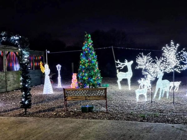 {"data":{"prop_list":[],"product":"aweme"}}